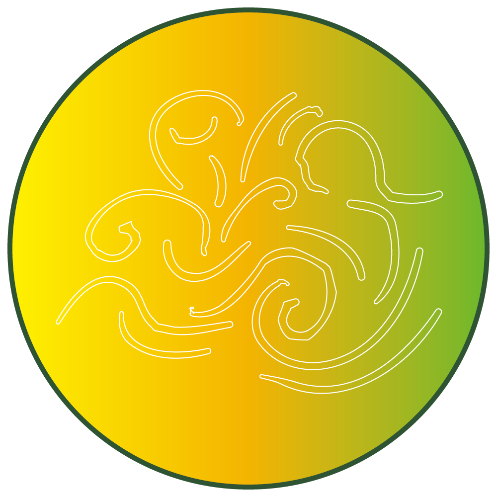 京町家・天の川のロゴマーク